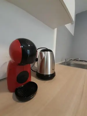 Cuisine ou kitchenette dans l'établissement Manifique T1 centre ville Saint-Leu 2 pers WIFI