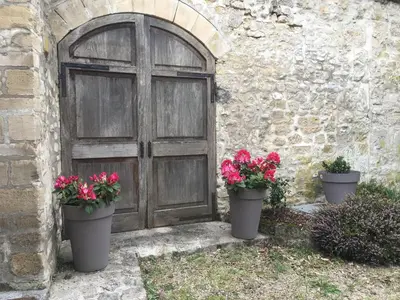 Jardin de l'établissement La Tour de Flandre