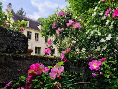 Jardin de l'établissement La Tour de Flandre