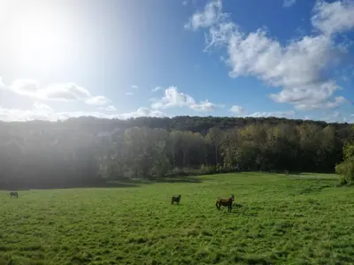 Paysage naturel près de la maison d'hôtes