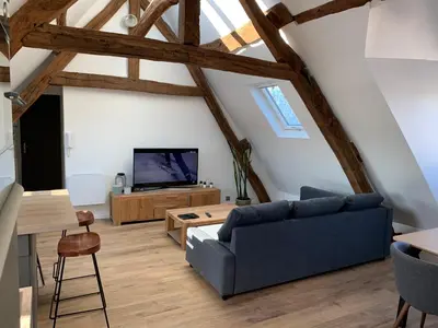 Télévision ou salle de divertissement dans l'établissement Le Henri IV - Vue Cathédrale-Parking