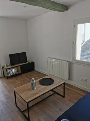 Télévision ou salle de divertissement dans l'établissement Studio a 10 min de Rouen - Le Guillaume