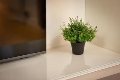 Télévision ou salle de divertissement dans l'établissement Le Gainsbourg studio coeur de Rouen !
