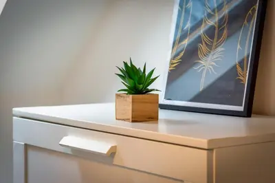 Plan de l'établissement Hervé maison de ville