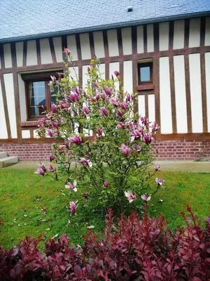 Jardin de l'établissement Wijitta