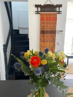 Plan de l'établissement Maison cosy rénovée avec jardin