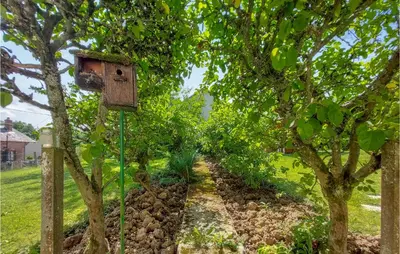 Jardin de l'établissement Pet Friendly Home In Touffreville