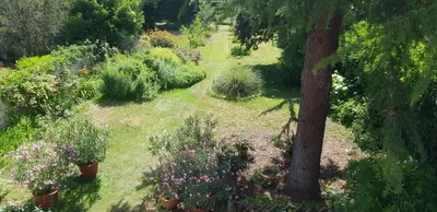 Jardin de l'établissement Maison Anne face to park in Vernon Giverny
