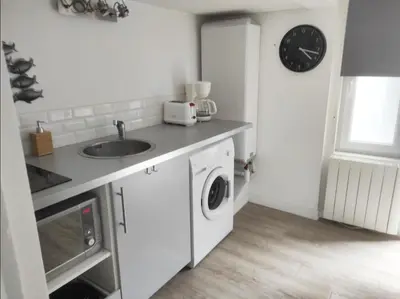Cuisine ou kitchenette dans l'établissement Duplex hypercentre avec parking