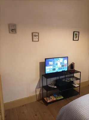 Télévision ou salle de divertissement dans l'établissement LE 16 CHAMBRES D'HÔTE