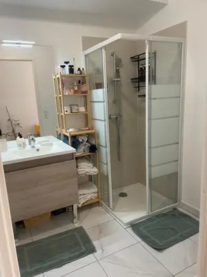 Salle de bains dans l'établissement Appartement de charme Poissy
