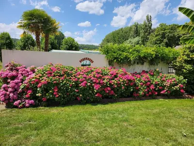 Jardin de l'établissement Chambre chez particulier avec petit déjeuner, piscine, pool house