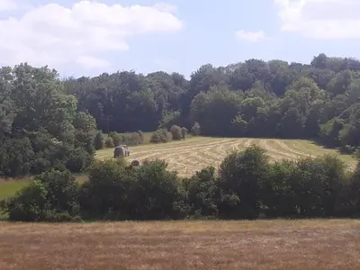 Paysage naturel près de le B&B/chambre d'hôtes