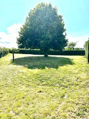 Jardin de l'établissement Gîte les Tilleuls