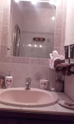 Salle de bains dans l'établissement Gites Les Roses