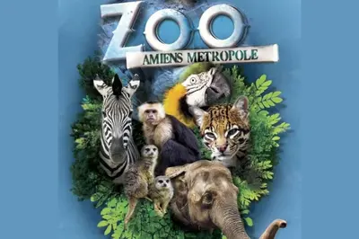 Animaux dans l'appartement ou à proximité