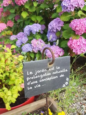 Jardin de l'établissement L'Escarbotine