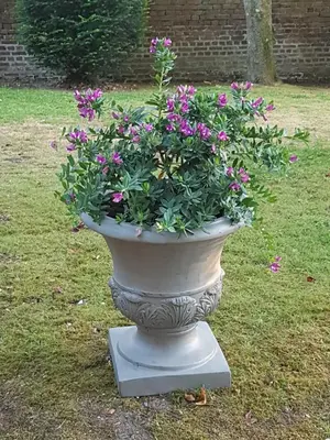Jardin de l'établissement L'Escarbotine