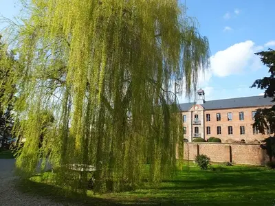 Jardin de l'établissement L'Escarbotine
