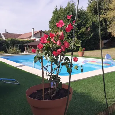 Piscine de l'établissement o tour de l'eau ou située à proximité