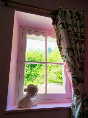 Animal ou animaux domestique(s) séjournant avec des clients dans l'établissement Le Coin des Artistes