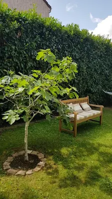 Jardin de l'établissement Chez Laurence & RV
