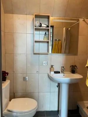 Salle de bains dans l'établissement Appartement Lavande - 6 pers avec mezzanine