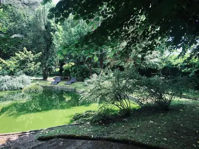Jardin de l'établissement La Pluie de Roses