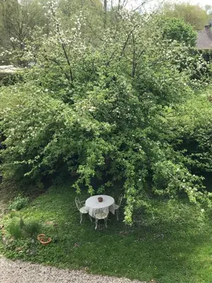 Jardin de l'établissement Appart dans longère Normande au coeur de la Forêt de Lyons