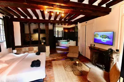 Télévision ou salle de divertissement dans l'établissement Le Spa Gustave - Sauna, Jacuzzi & Terrasse à Rouen