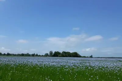 Paysage naturel près de la villa