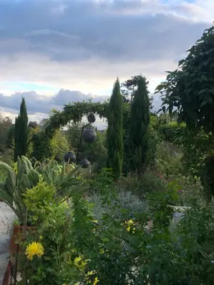 Jardin de l'établissement Les Grands Jardins Lodge