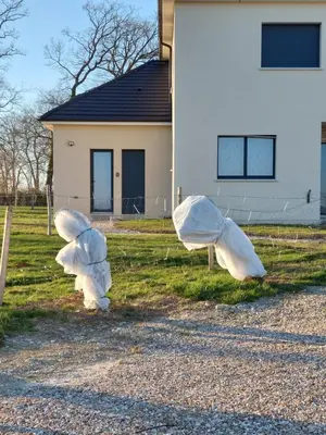Bâtiment de la maison de vacances