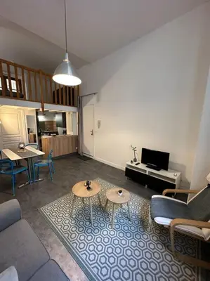Télévision ou salle de divertissement dans l'établissement Appartement dans ancien Hôtel historique