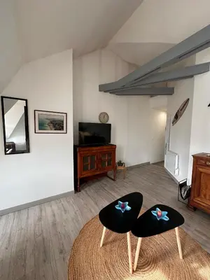 Télévision ou salle de divertissement dans l'établissement Les toits d'Albatre