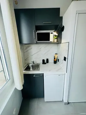 Cuisine ou kitchenette dans l'établissement Studio Bohème hypercentre