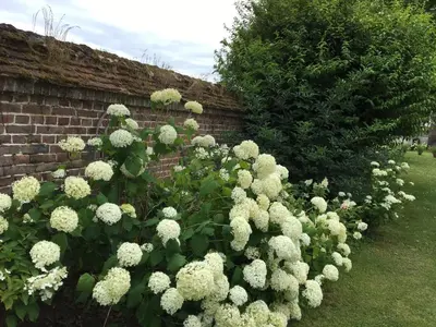 Jardin de l'établissement Chateau de Vauchelles