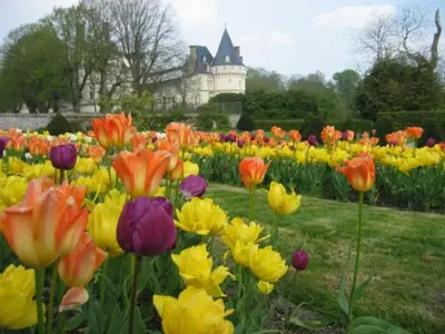 Jardin de l'établissement Le Refuge de Normandie avec Spa et Cheminée