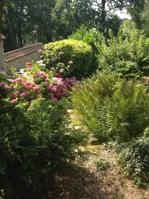 Jardin de l'établissement Les Hortensias