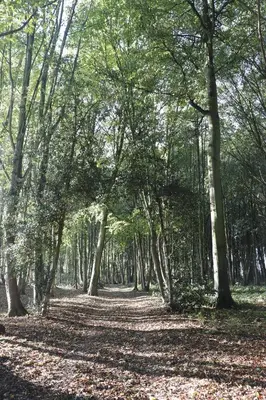 Paysage naturel près de la maison d'hôtes