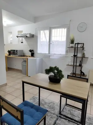 Cuisine ou kitchenette dans l'établissement Cosy Studio
