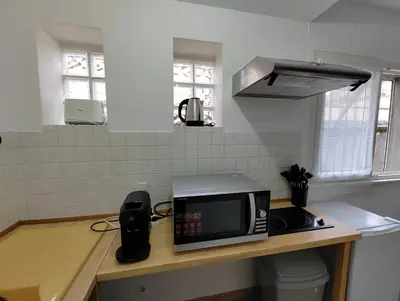 Cuisine ou kitchenette dans l'établissement Cosy Studio