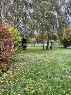 Jardin de l'établissement Le Duo de la forêt