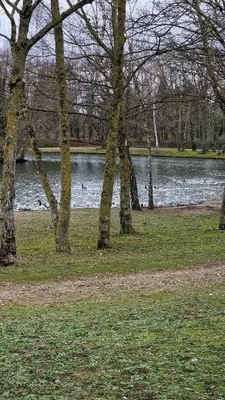 Paysage naturel près de l'appartement