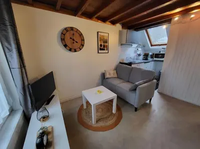 Télévision ou salle de divertissement dans l'établissement Charmant appartement au cœur du quartier St-Pierre