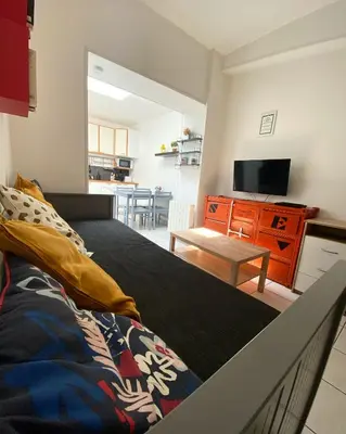 Télévision ou salle de divertissement dans l'établissement Bienvenue au parc St Pierre