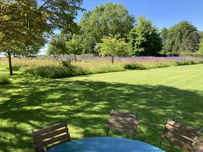 Jardin de l'établissement Noyer