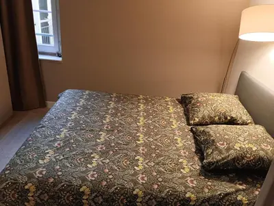 Un ou plusieurs lits dans un hébergement de l'établissement Appartement Cosy Plein Centre Ville