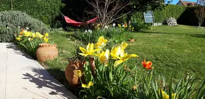 Jardin de l'établissement Chez Loti 2