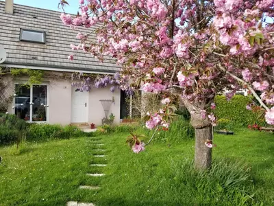 Jardin de l'établissement Chez Loti